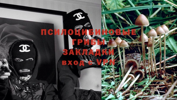 твердый Армянск