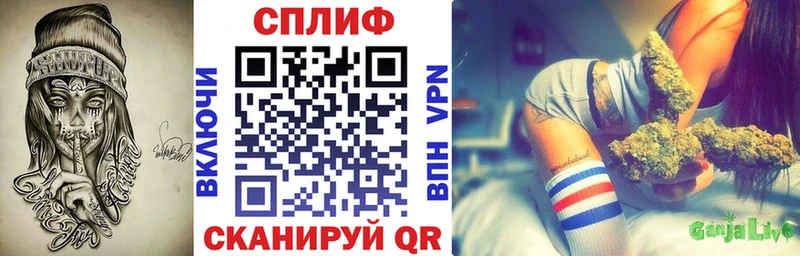 Бошки Шишки план  цены   Жуков 
